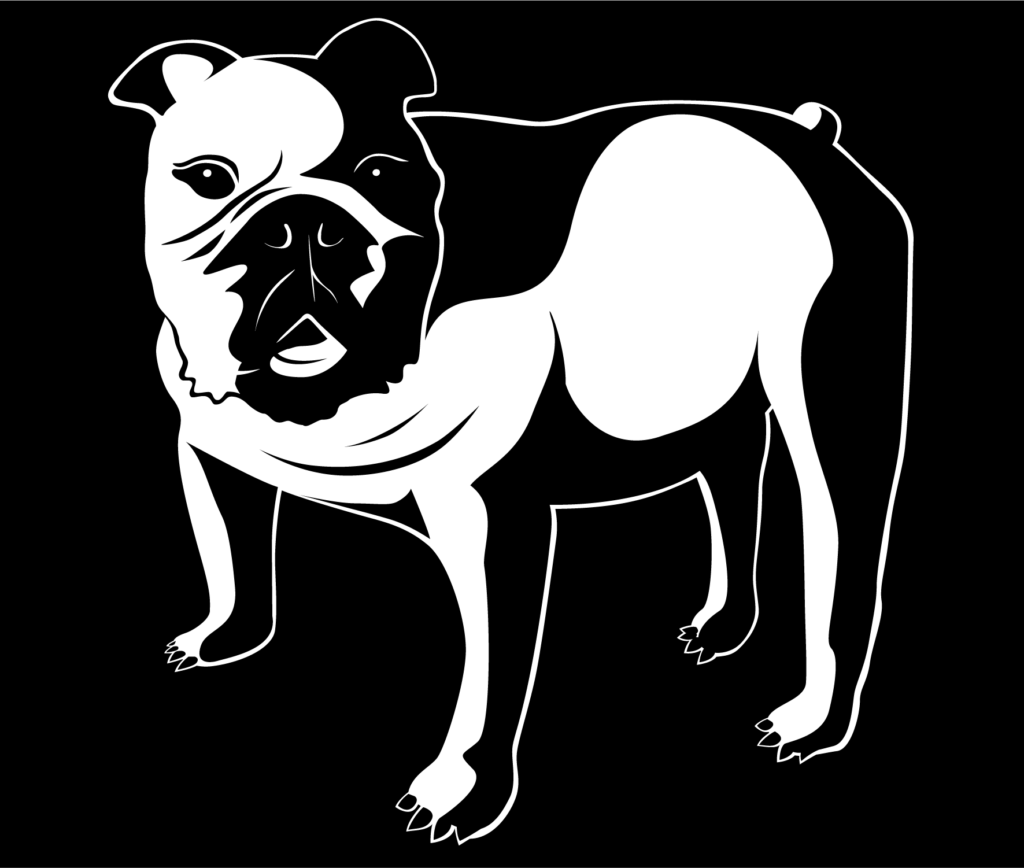 AJ's Kitchen Bulldog Illustration, restaurant branding